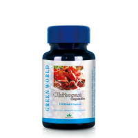 Chitosan Capsule